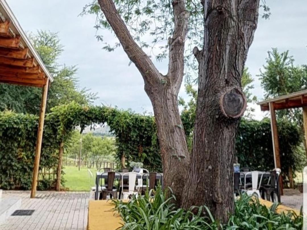 Cradle Valley Boutique Guesthouse Muldersdrift Exterior photo